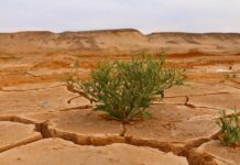 Utiel y la UV impulsan el debate sobre el cambio climático y la ciencia como clave para el futuro